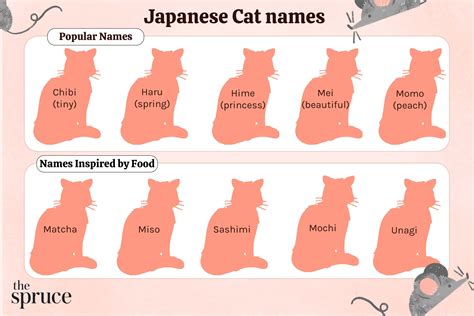 common cat names in japan